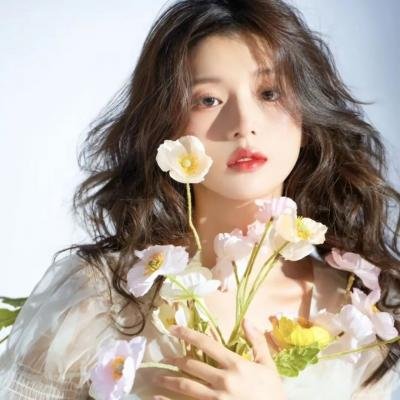 红绒花封面