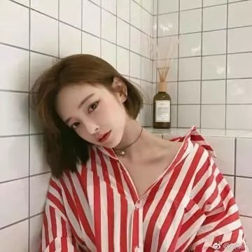 马丁节封面