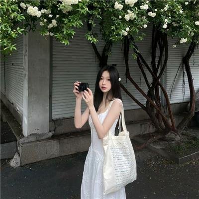 南方悬案封面